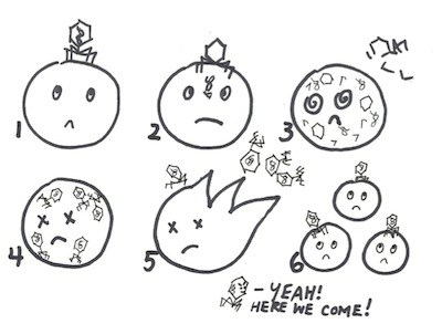 400x302 Doodling Drooling Macrophages Scq
