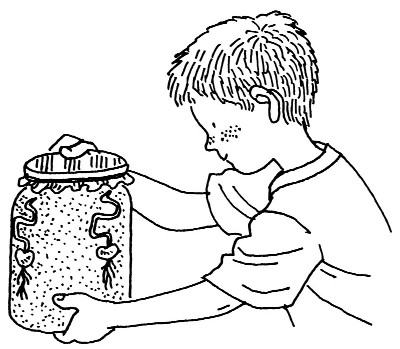 400x349 Science Projects For Kids Classifying Plants Howstuffworks