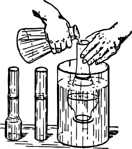 264x298 Science The English Guide