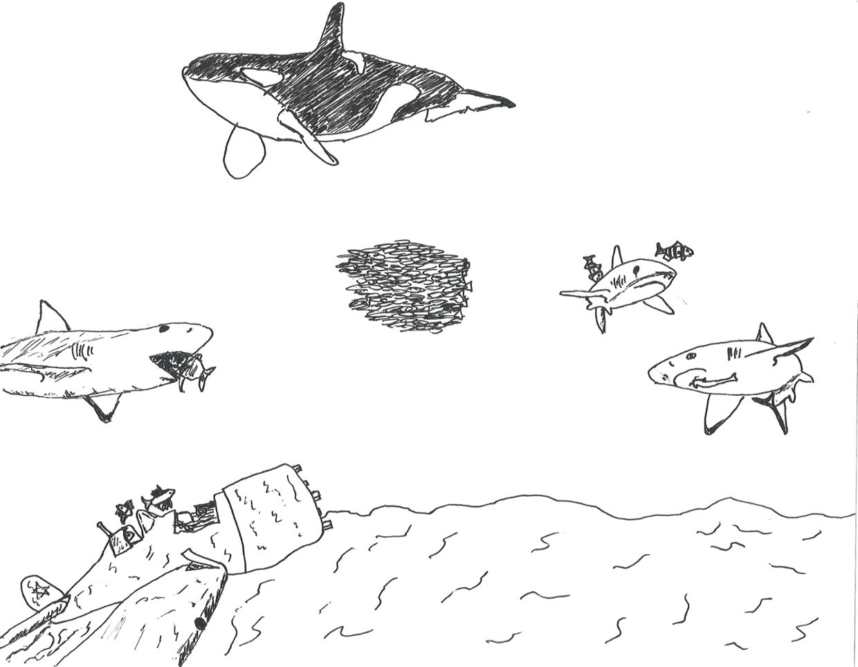 1240x964 Science 10 E