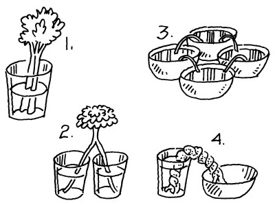 400x299 Water On The Move Howstuffworks