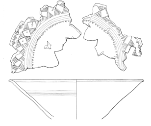 308x257 Scientific Illustration Martina Bisaz