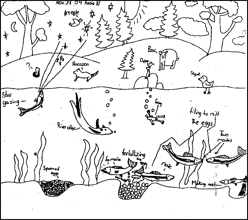 823x729 The Drawing Network