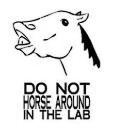 233x279 Lab Safteyscientific Method