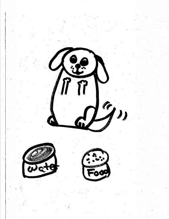 569x737 Drawing On Empathy Center For Humans Amp Nature