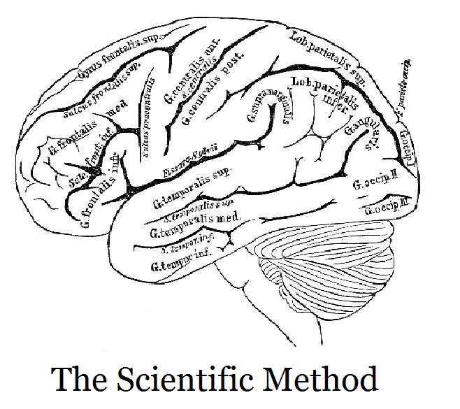 658x585 Everyone Knows That The Scientific Method Is The Key To Doing