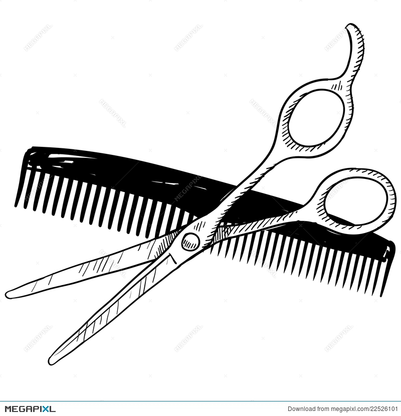 800x830 Barber Tools Sketch Illustration 22526101