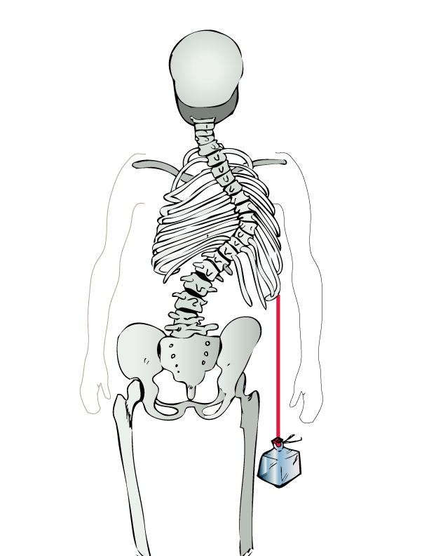 612x792 Scolio Pilates