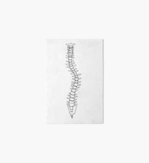 210x230 Scoliosis Wall Art Redbubble