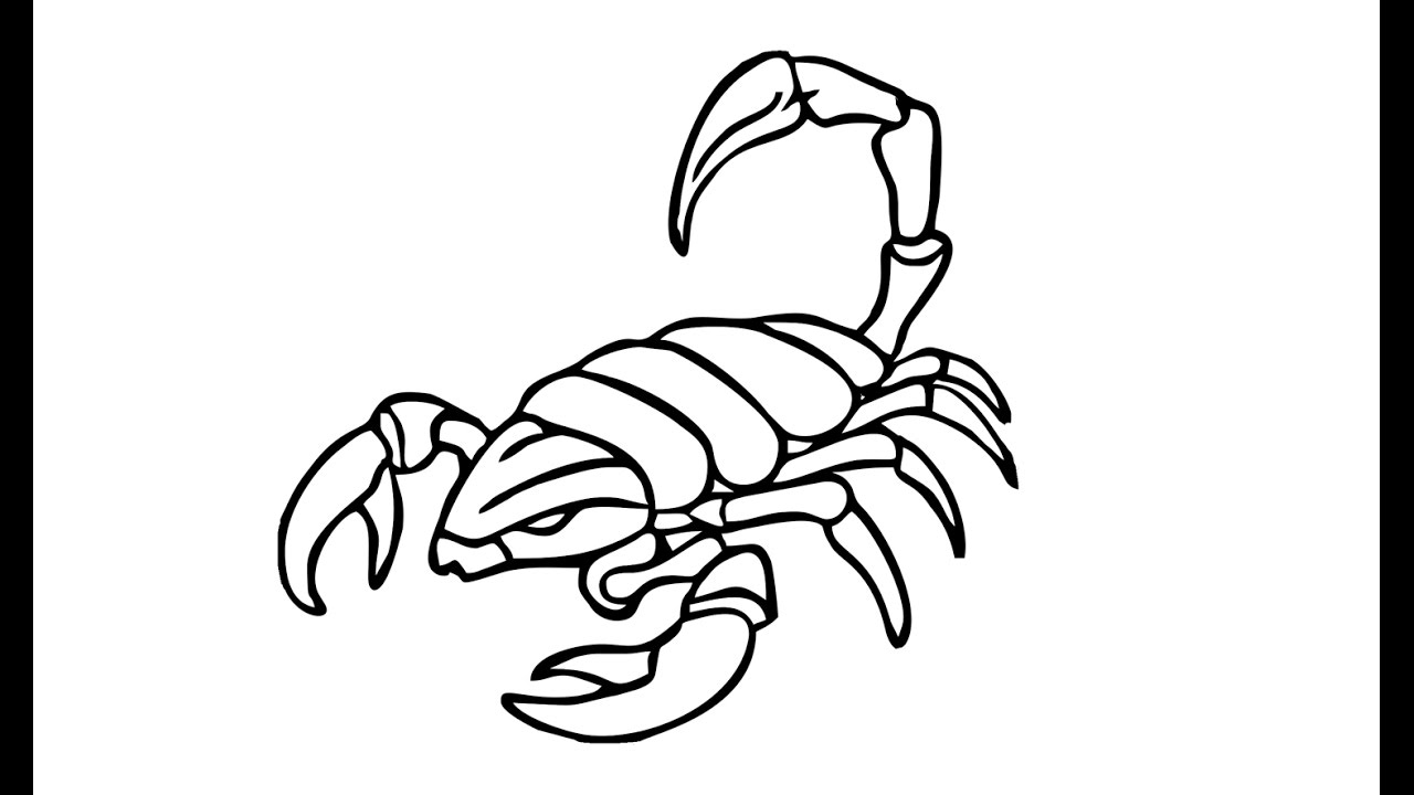 1280x720 How To Draw A Scorpion (Animals)