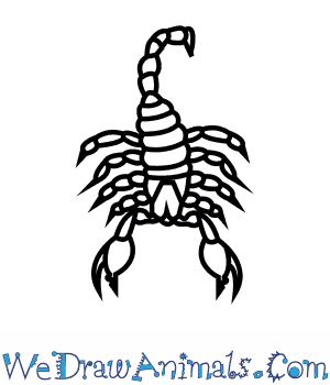 300x350 How To Draw An Emperor Scorpion