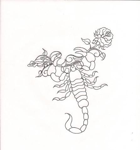 446x480 20 Best Tattoos That I Love Images On Tattoo Ideas