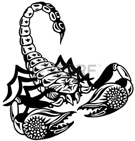 431x450 Scorpion Stock Photos. Royalty Free Business Images
