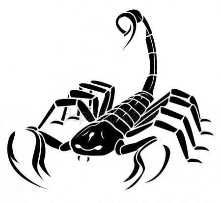 450x414 Scorpion Tattoo Stock Vectors, Royalty Free Scorpion Tattoo
