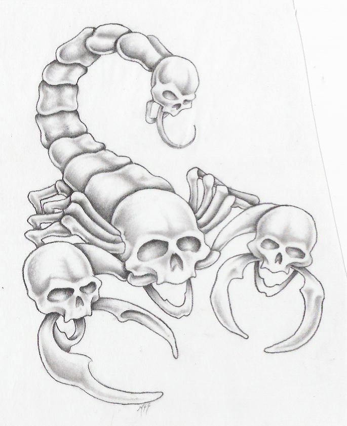 685x842 Scorpion By ~markfellows On Inspiration