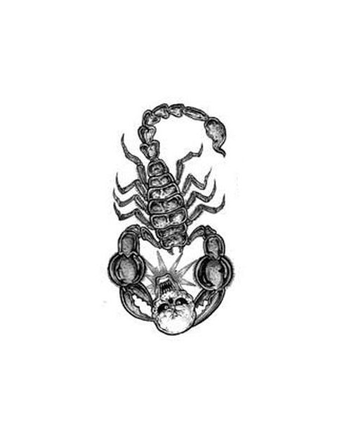 480x622 43 Best Scorpion Head Tattoo Images On Head Tattoos