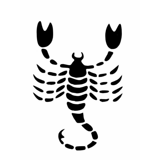 Scorpio Drawing at GetDrawings | Free download