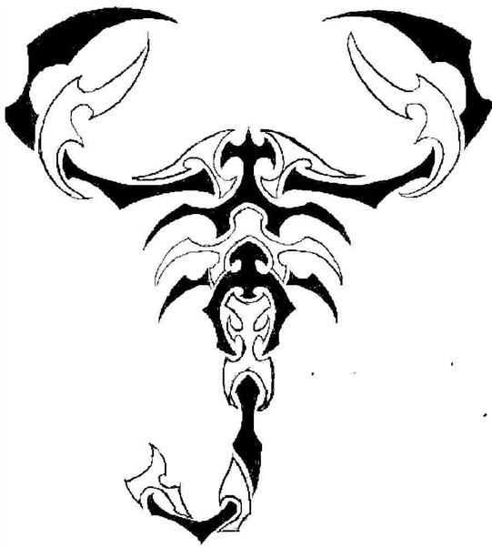 541x602 Scorpion By Javen
