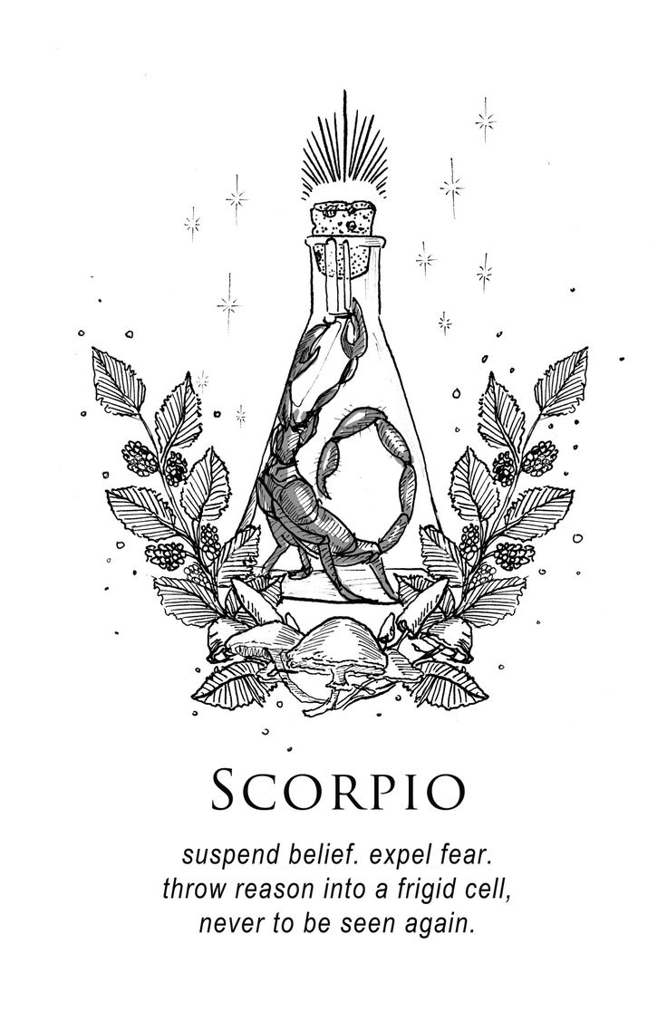 Scorpio Drawing at GetDrawings | Free download