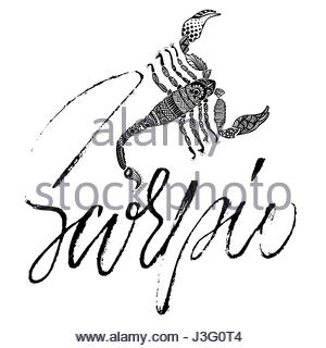 300x320 Zodiac Sign Scorpio, Drawn On The Facture Beach Sand. (Zodiac