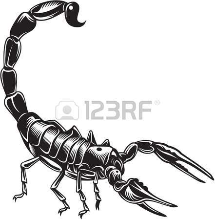 441x450 Drawn Scorpion Bug
