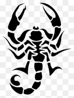 260x347 Scorpion Cartoon, Scorpions, Dark Green, Scorpion Png And Vector