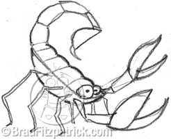 246x200 Scorpion Drawings Drawings Of Scorpions How To Draw A Scorpion