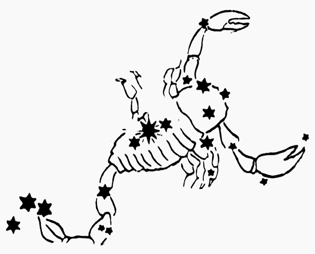 640x515 The Scorpion Clipart Etc