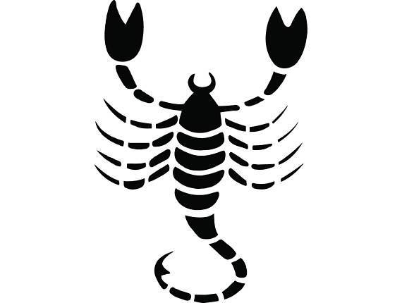 570x430 Zodiac Sign Scorpio Scorpion Astrology Horoscope Svg Eps Png