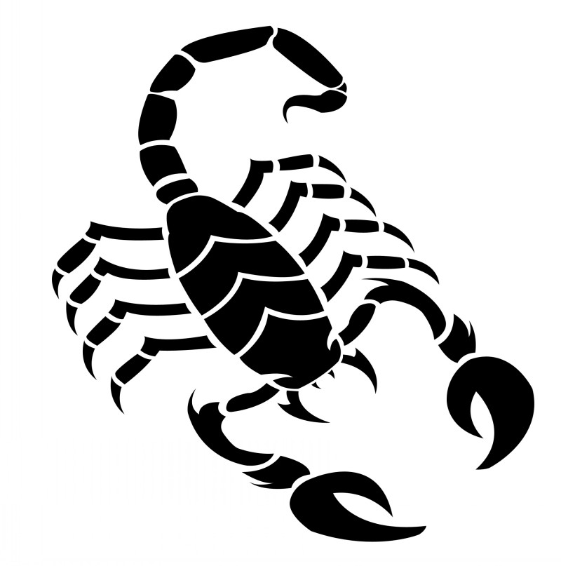 800x807 Collection Of Full Black Scorpion Tattoo Photo