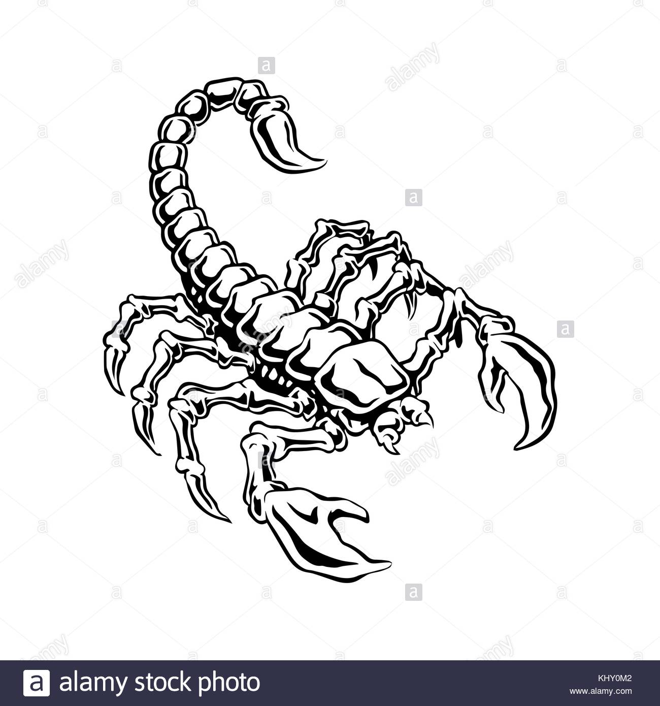 Scorpion Drawing at GetDrawings | Free download