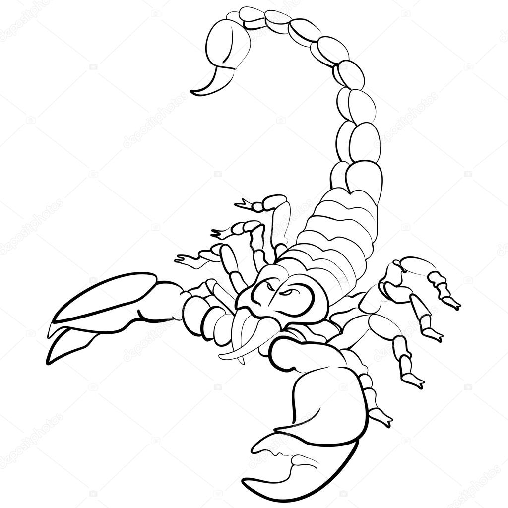 1024x1024 Hand Drawn Astrological Zodiac Sign Scorpion Stock Vector