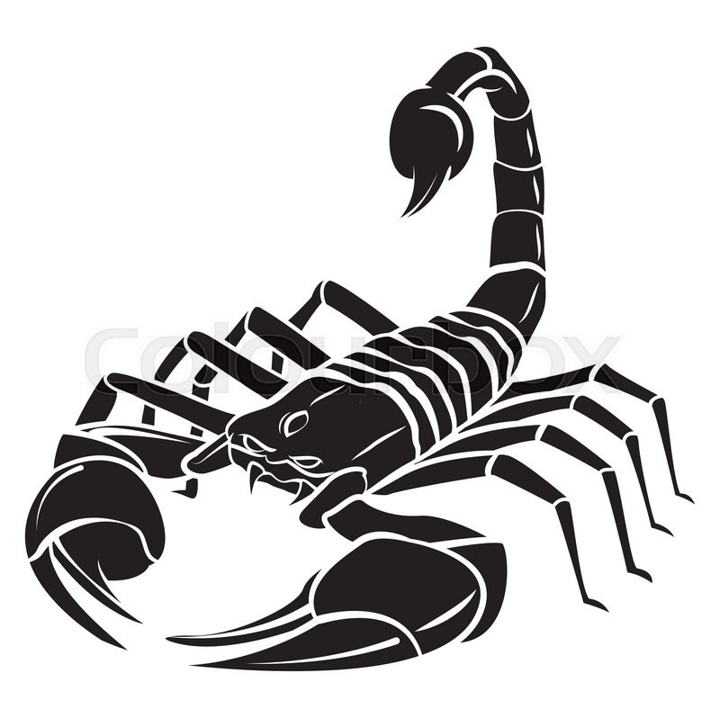 800x798 Scorpion Mascot Tattoo Stock Vector Colourbox