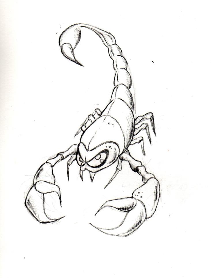 732x960 Scorpion Sketch 2 By Pinkbunnie