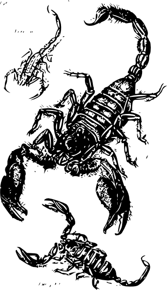 342x593 Black Scorpions Clip Art