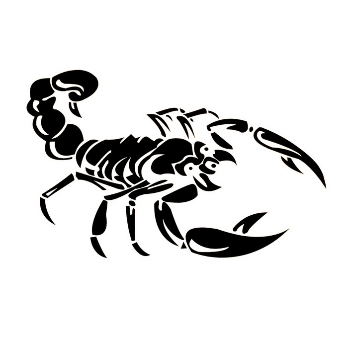 700x700 Ziqiao Cute 3d Scorpion Model Car Stickers