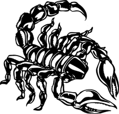 416x400 Black Scorpion Drawing