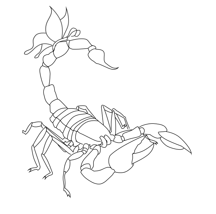 705x700 Scorpion Tattoo Line Art By Arisumizuki
