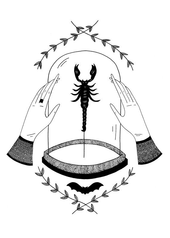 570x798 This Is An Art Print Of My Drawing Little Scorpion. Inspired By