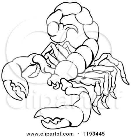 450x470 Clipart Of A Black And White Line Drawing Of The Scorpio Scorpion