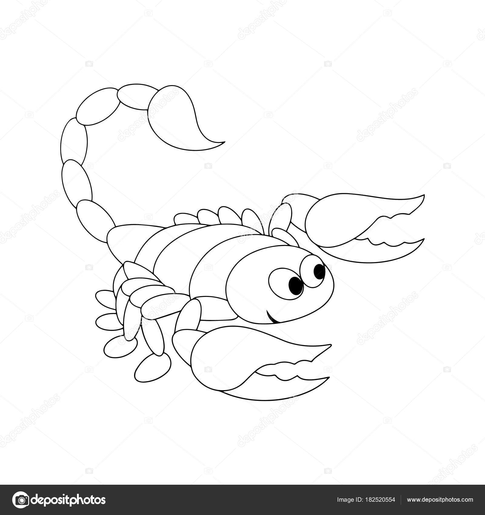 Scorpion Outline Drawing at GetDrawings | Free download