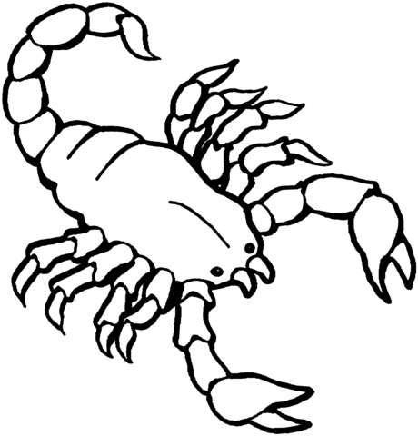 460x480 Scorpion Coloring Page Free Printable Coloring Pages