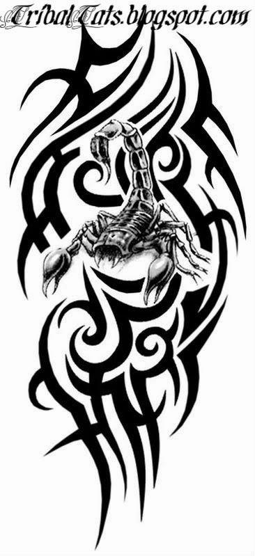 366x799 Tribal Scorpion Tattoo Emperor Scorpions Tattoo