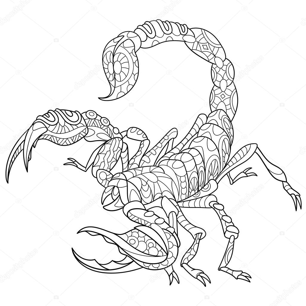 1024x1024 Zentangle Stylized Scorpio Stock Vector Sybirko