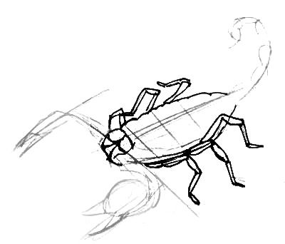 400x342 How To Draw A Scorpion