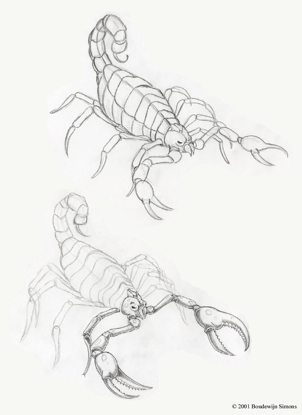 600x825 B Wine Design