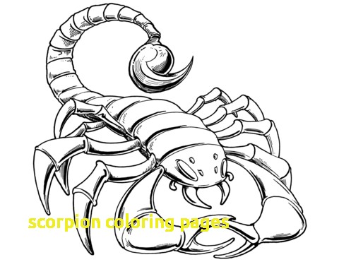 480x371 Scorpion Coloring Pages Coloringpageforkids.co
