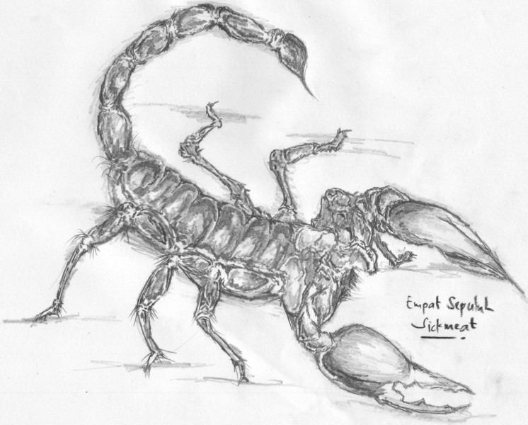 746x600 Scorpion Original Art By Ilham Perkasa Picassomio