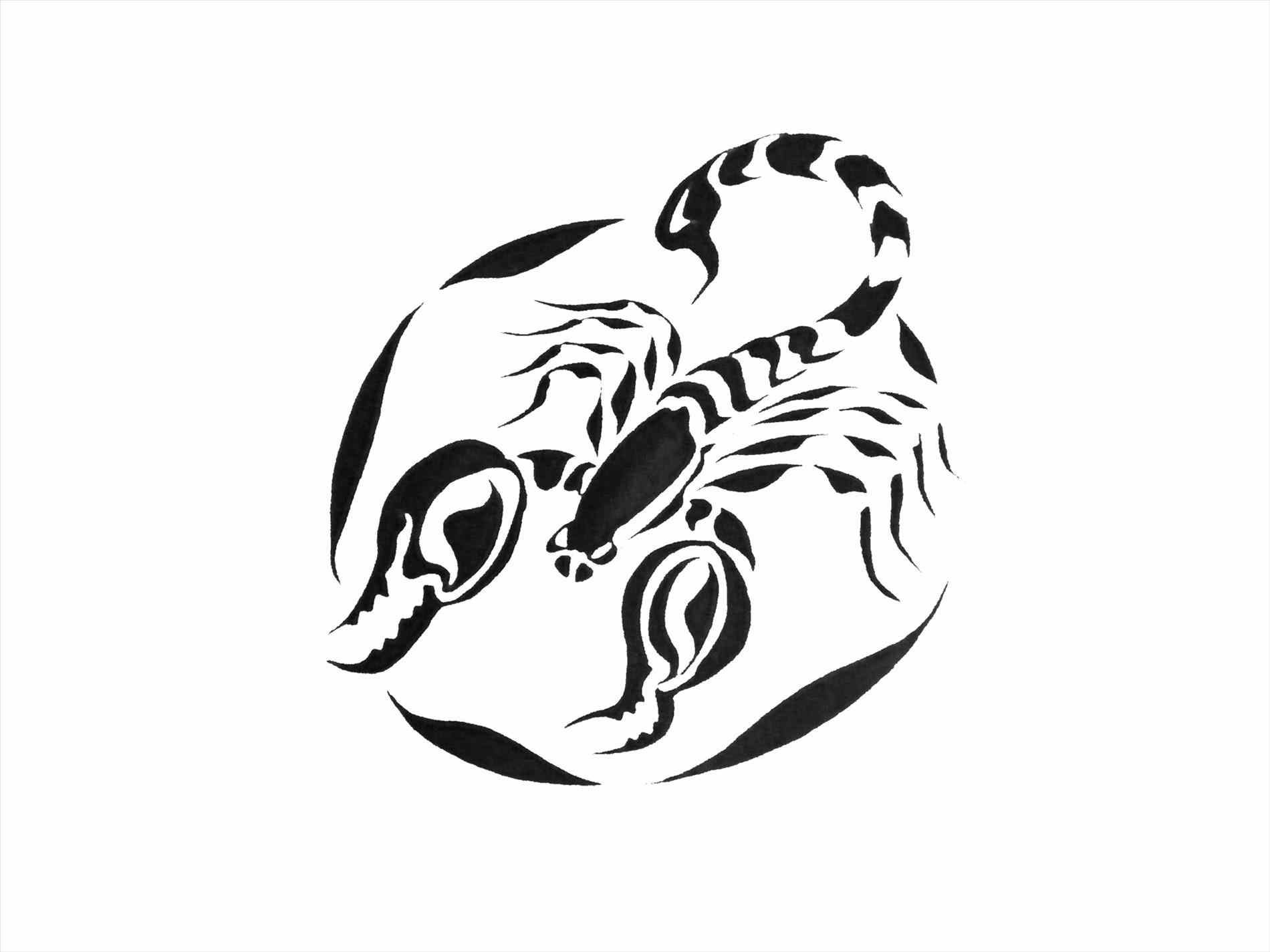 1900x1425 Tattoo On Hand Danielhuscroftcom Drawn Tribal Art Pencil And