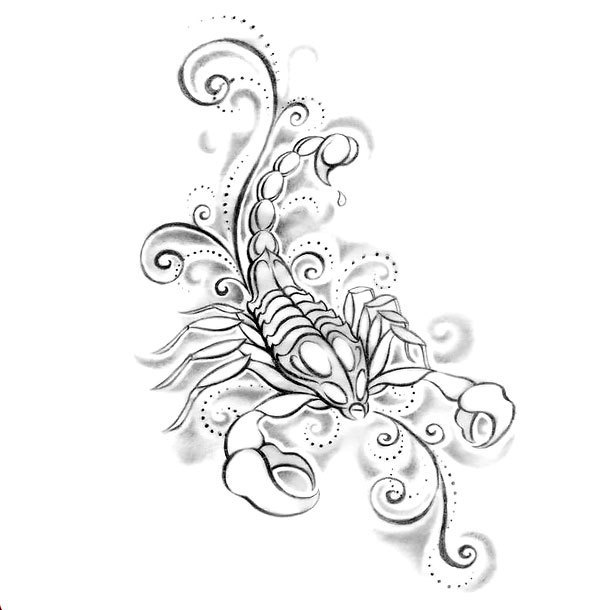 610x610 Cute Girly Scorpion Tattoo Design Tattoo Scorpion